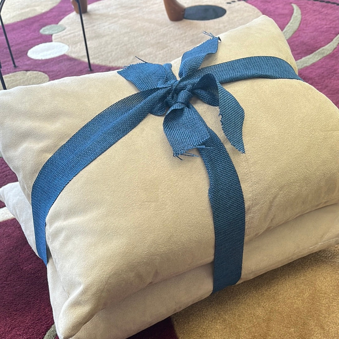 Two decorated pillows