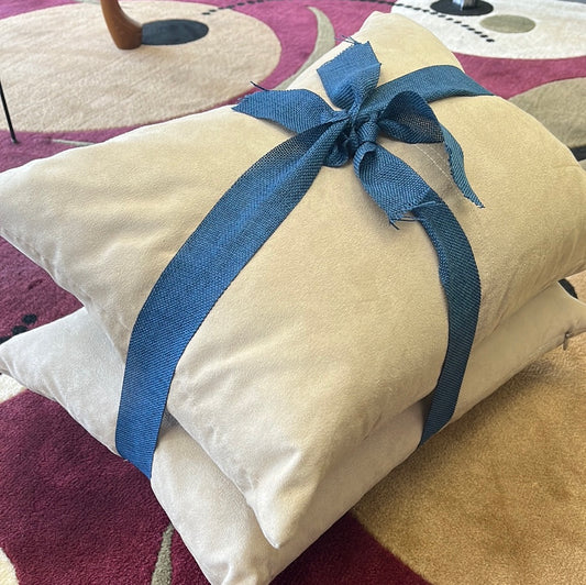 Two decorated pillows